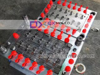 flip top cap mould